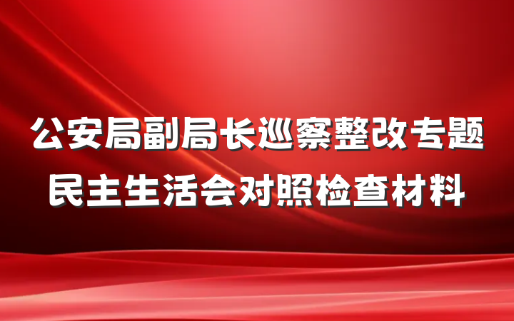 公安局副局长巡察整改专题民主生活会对照检查材料