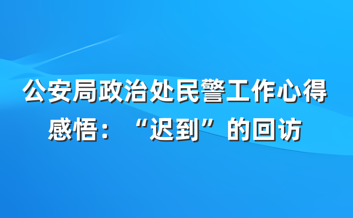 公安局政治处民警工作心得感悟：“迟到”的回访