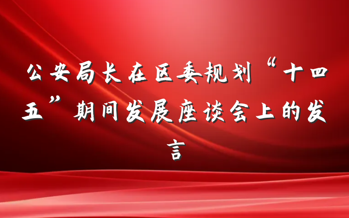 公安局长在区委规划“十四五”期间发展座谈会上的发言