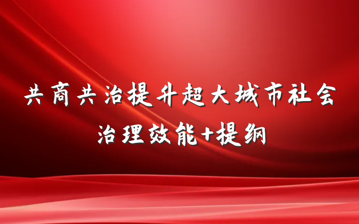 共商共治提升超大城市社会治理效能 提纲