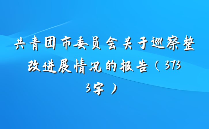 共青团市委员会关于巡察整改进展情况的报告（3733字）