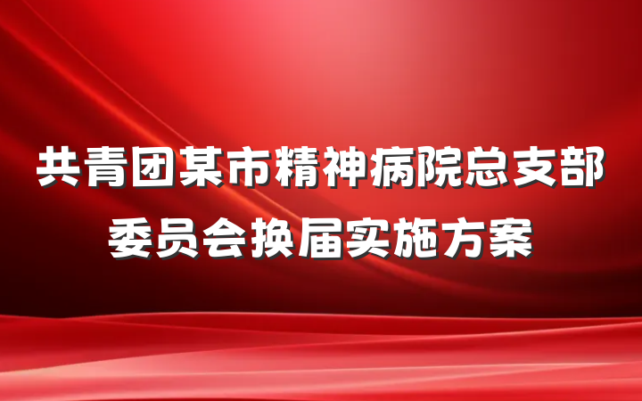 共青团某市精神病院总支部委员会换届实施方案
