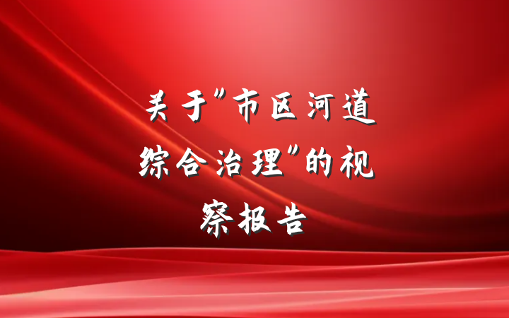 关于"市区河道综合治理"的视察报告