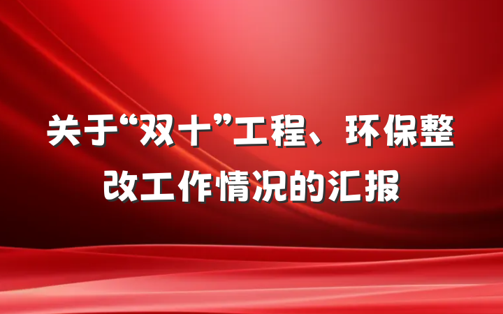 关于“双十”工程、环保整改工作情况的汇报