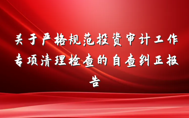 关于严格规范投资审计工作专项清理检查的自查纠正报告