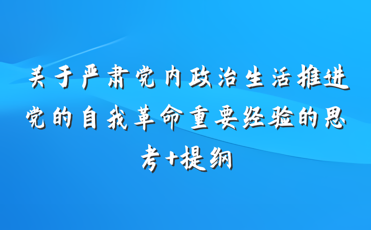 关于严肃党内政治生活推进党的自我革命重要经验的思考 提纲