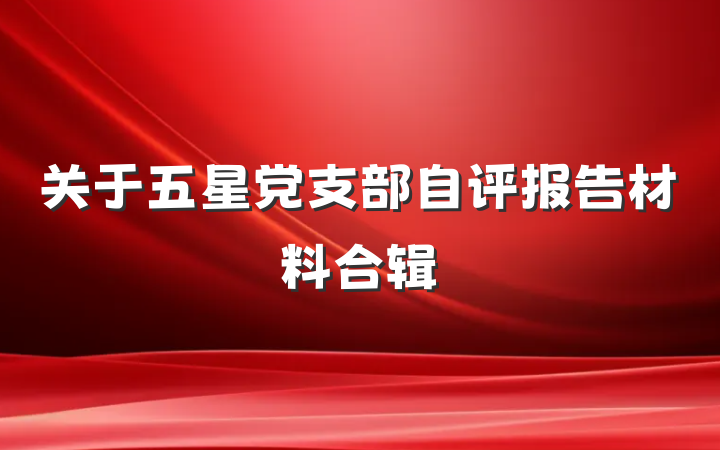 关于五星党支部自评报告材料合辑