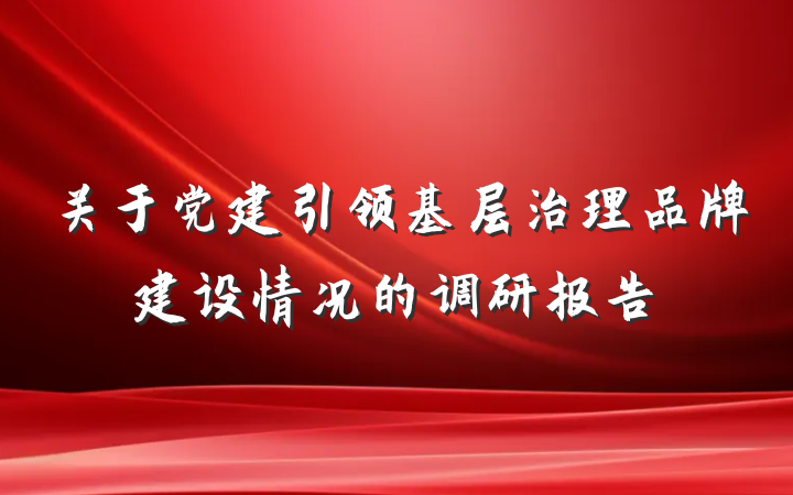 关于党建引领基层治理品牌建设情况的调研报告