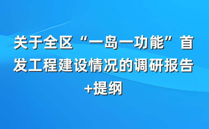 关于全区“一岛一功能”首发工程建设情况的调研报告 提纲