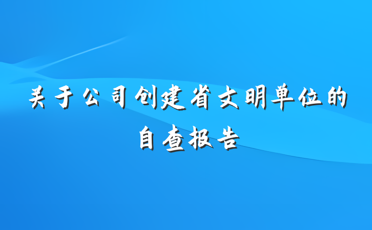 关于公司创建省文明单位的自查报告