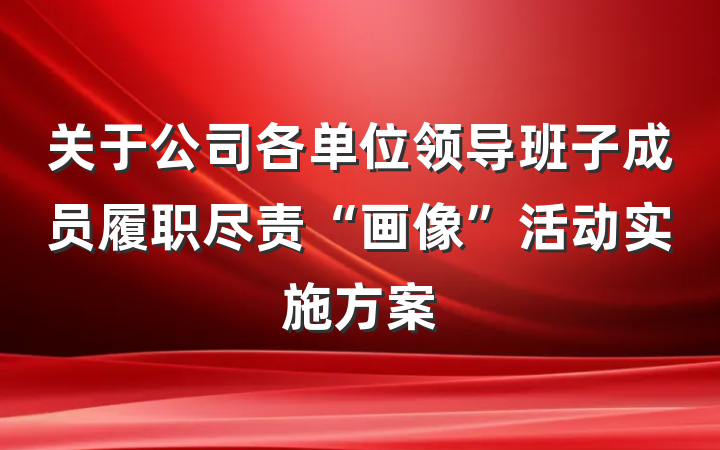 关于公司各单位领导班子成员履职尽责“画像”活动实施方案