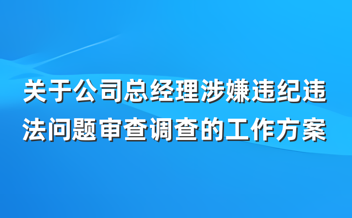 关于公司总经理涉嫌违纪违法问题审查调查的工作方案