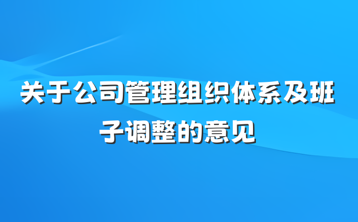 关于公司管理组织体系及班子调整的意见
