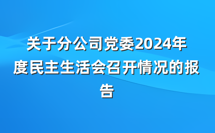关于分公司党委2024年度民主生活会召开情况的报告