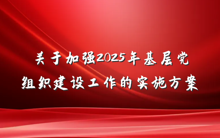 关于加强2025年基层党组织建设工作的实施方案