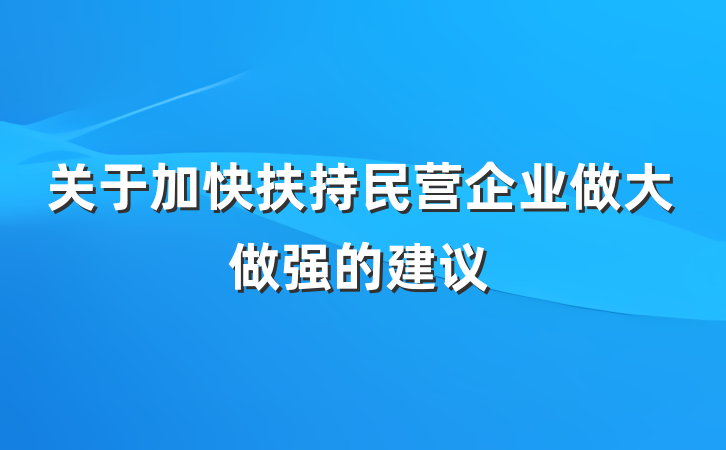 关于加快扶持民营企业做大做强的建议