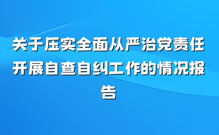 关于压实全面从严治党责任开展自查自纠工作的情况报告