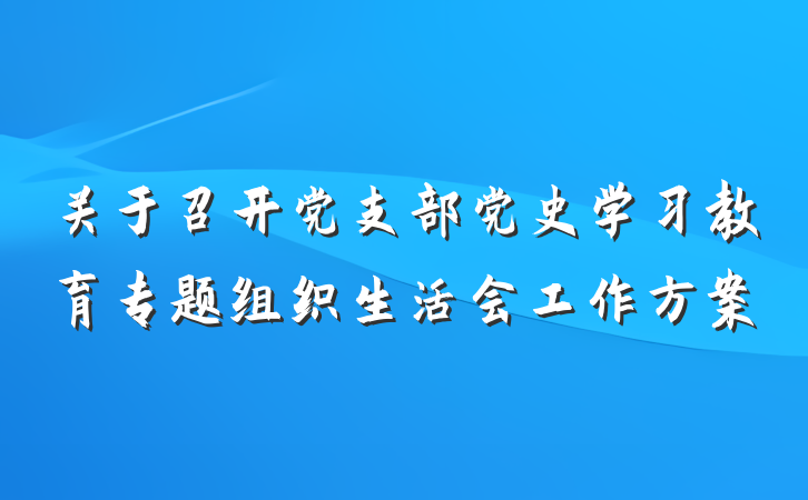 关于召开党支部党史学习教育专题组织生活会工作方案