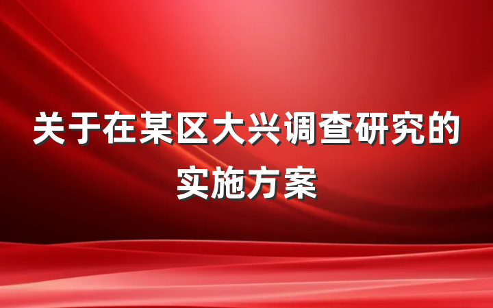 关于在某区大兴调查研究的实施方案