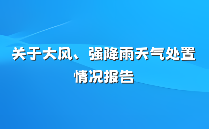 关于大风、强降雨天气处置情况报告