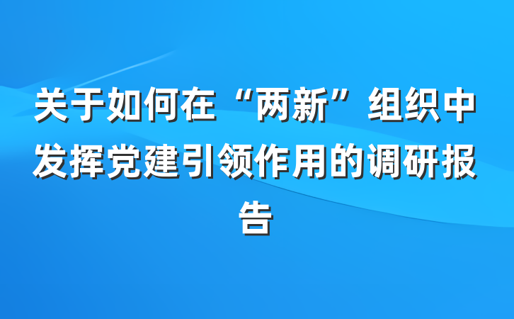 关于如何在“两新”组织中发挥党建引领作用的调研报告