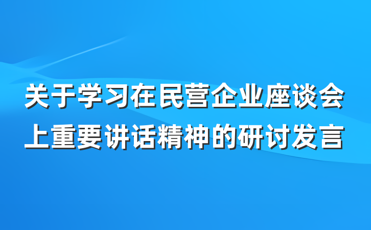 关于学习在民营企业座谈会上重要讲话精神的研讨发言