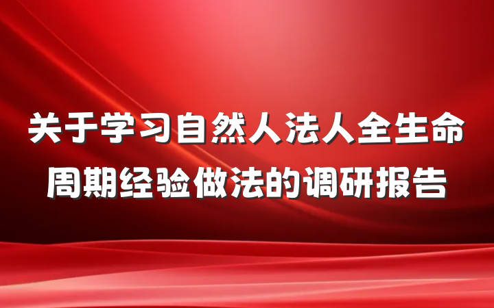 关于学习自然人法人全生命周期经验做法的调研报告