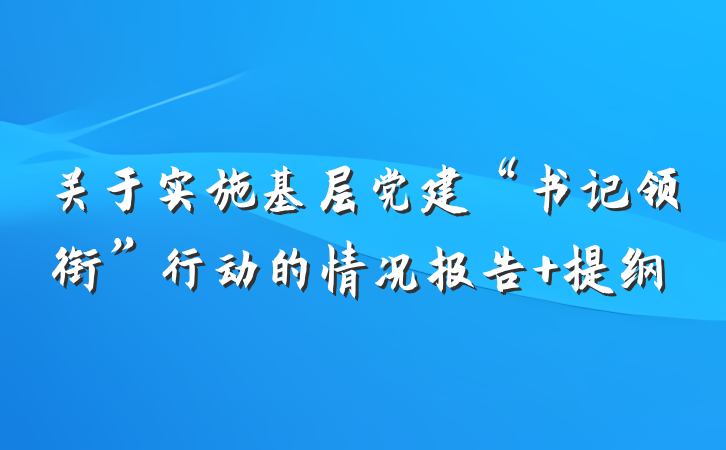 关于实施基层党建“书记领衔”行动的情况报告 提纲