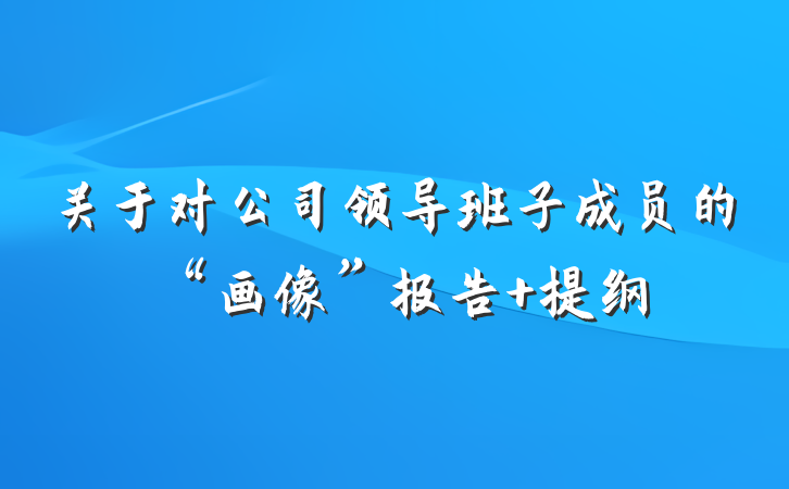 关于对公司领导班子成员的“画像”报告 提纲