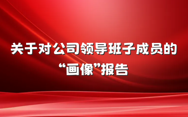 关于对公司领导班子成员的“画像”报告