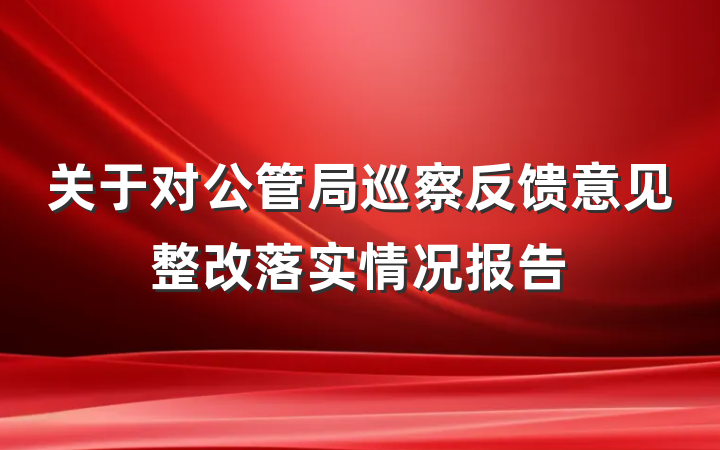 关于对公管局巡察反馈意见整改落实情况报告