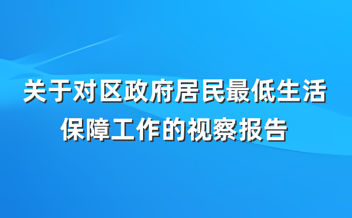 关于对区政府居民最低生活保障工作的视察报告