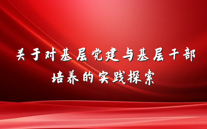 关于对基层党建与基层干部培养的实践探索