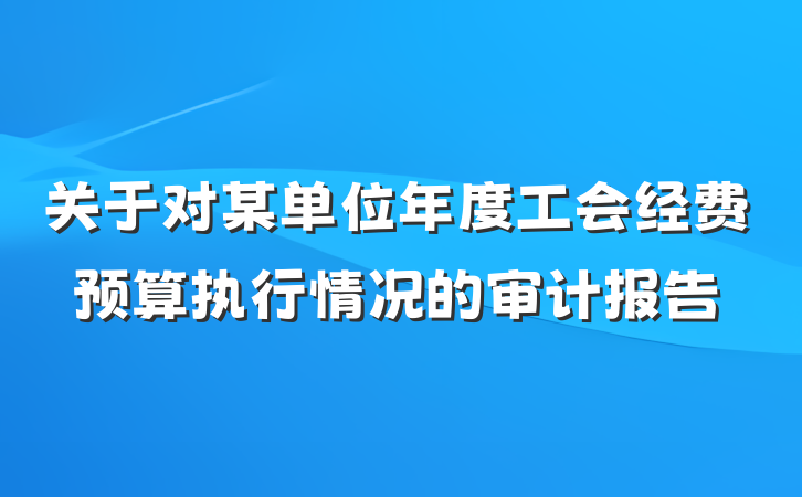 关于对某单位年度工会经费预算执行情况的审计报告