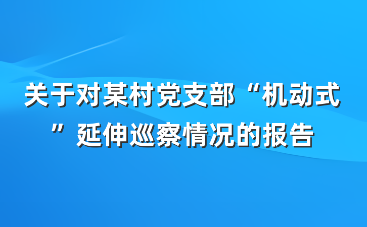 关于对某村党支部“机动式”延伸巡察情况的报告