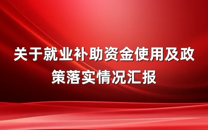关于就业补助资金使用及政策落实情况汇报