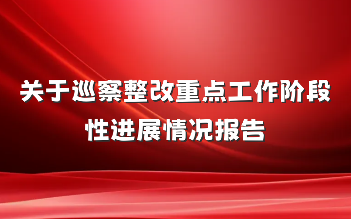 关于巡察整改重点工作阶段性进展情况报告