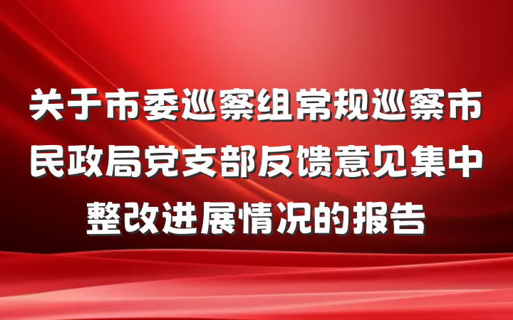 关于市委巡察组常规巡察市民政局党支部反馈意见集中整改进展情况的报告