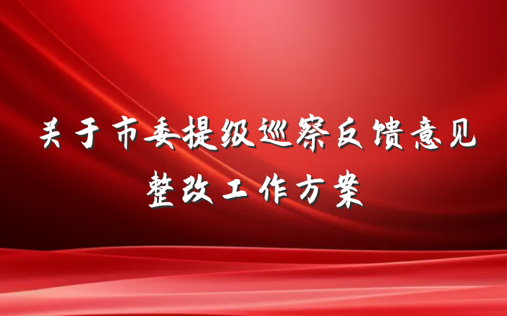 关于市委提级巡察反馈意见整改工作方案