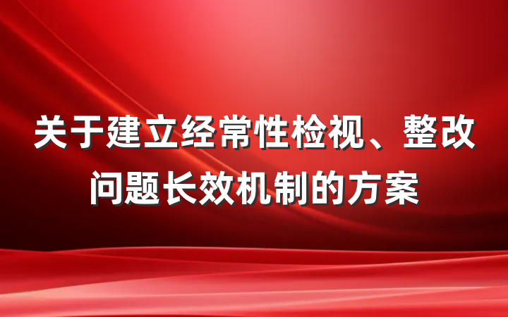 关于建立经常性检视、整改问题长效机制的方案