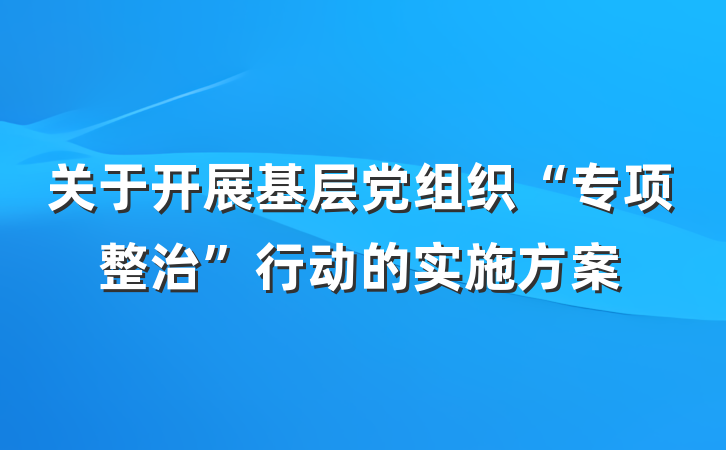 关于开展基层党组织“专项整治”行动的实施方案