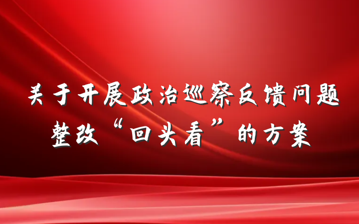 关于开展政治巡察反馈问题整改“回头看”的方案