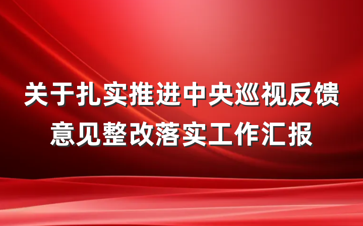 关于扎实推进中央巡视反馈意见整改落实工作汇报