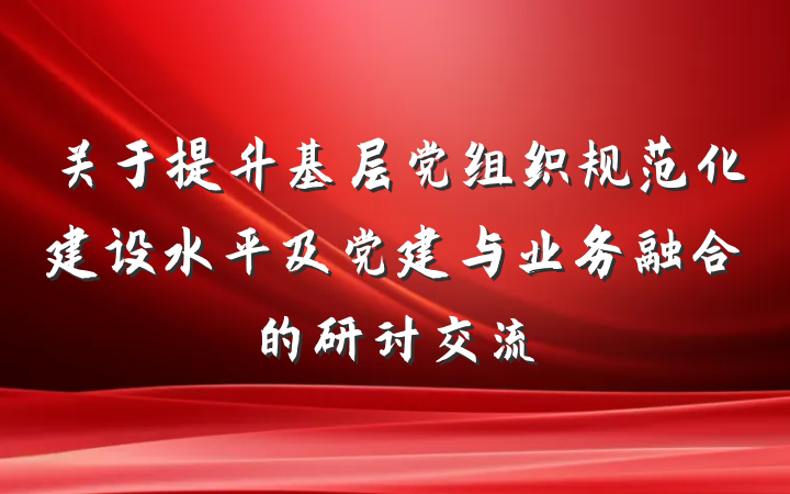关于提升基层党组织规范化建设水平及党建与业务融合的研讨交流