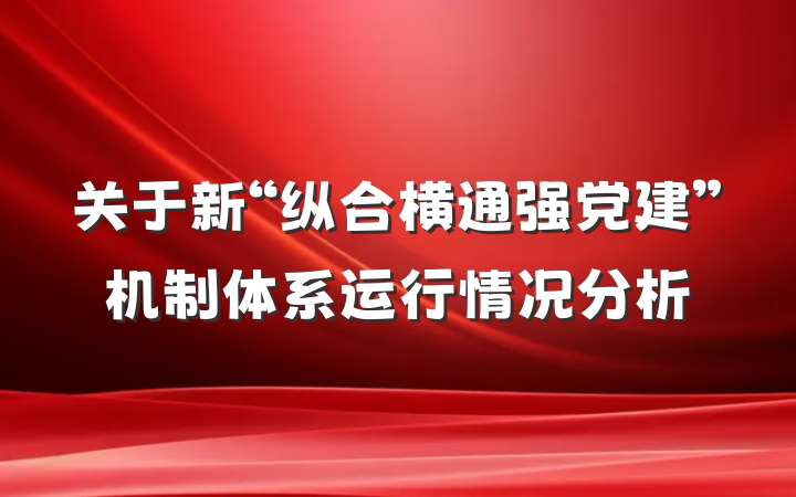 关于新“纵合横通强党建”机制体系运行情况分析