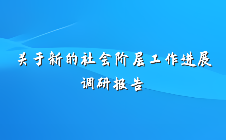 关于新的社会阶层工作进展调研报告