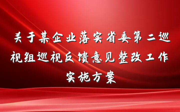 关于某企业落实省委第二巡视组巡视反馈意见整改工作实施方案