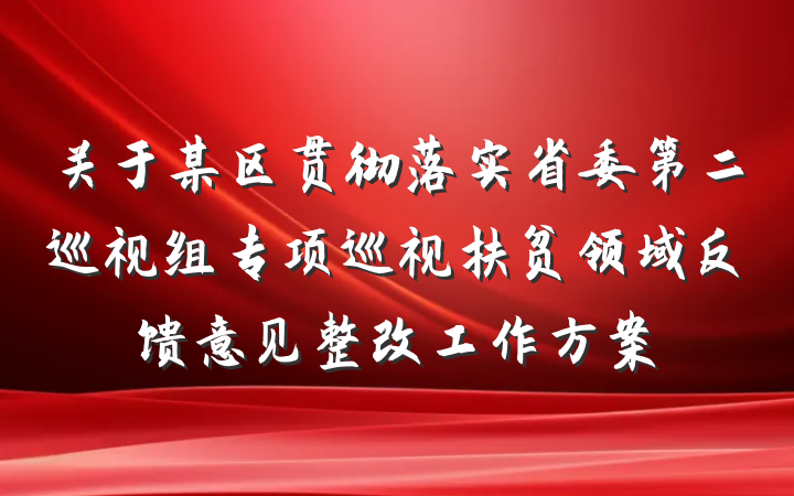 关于某区贯彻落实省委第二巡视组专项巡视扶贫领域反馈意见整改工作方案