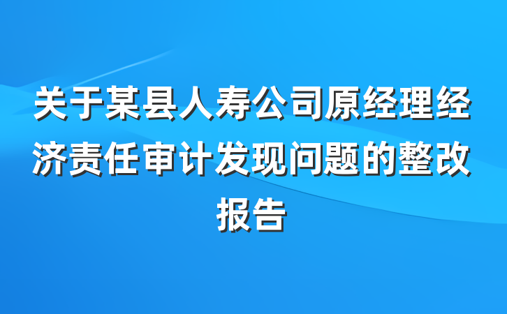 关于某县人寿公司原经理经济责任审计发现问题的整改报告