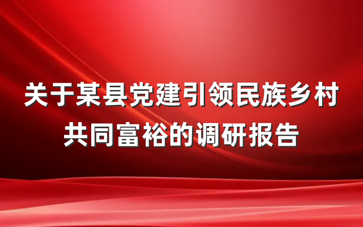 关于某县党建引领民族乡村共同富裕的调研报告
